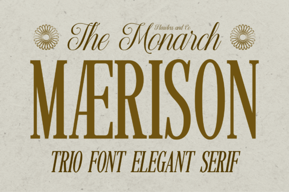 How Maerison Font Elevates Campaign Visuals