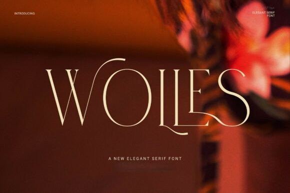 Wolles Elegant Modern Serif for a Polished Business Look